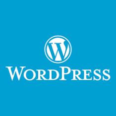 Realizare site de prezentare  WORDPRESS